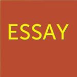 A dark orange square that says, Essay.