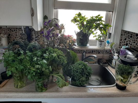 Smoothies and Formats