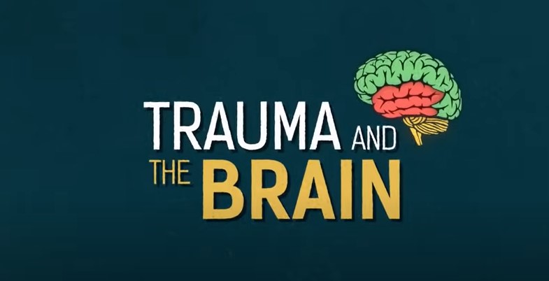 Trauma and the Brain