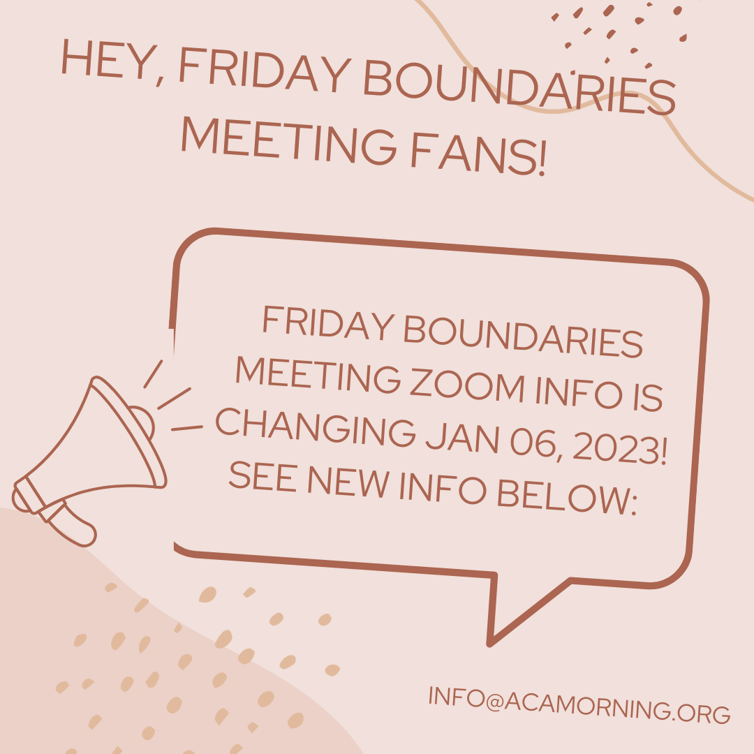 Boundaries Check-In Meeting
