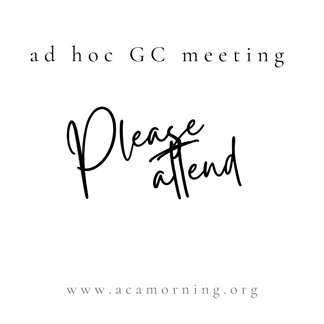 AD HOC GROUP CONSCIENCE MEETING