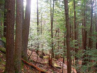 Proposed Personal Safety Guidelines